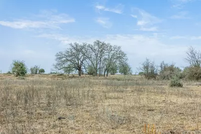 1310 N Nassau Road, Round Top, TX 78954 - Photo 8