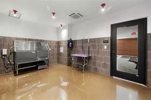 4315 S Congress Ave, Austin, TX 78745 - Photo 30