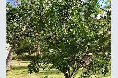 1113 Hidden Valley Road, Wimberley, TX 78676 - Photo 10