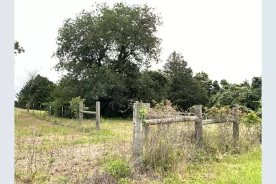 160 Rosanky Cattle Company Road, Smithville, TX 78957 - Photo 14