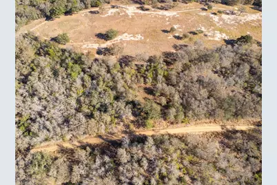 Lot 643, 644 & 645 Kaukonahua Lane, Bastrop, TX 78602 - Photo 12