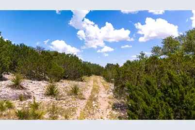 1534 Pasture Springs Road, Harper, TX 78631 - Photo 28