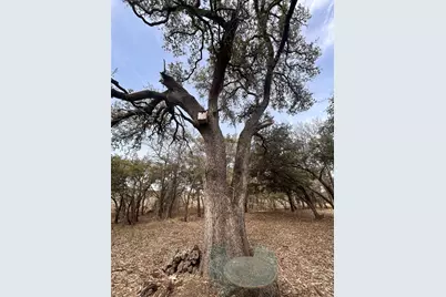 13203 Private Road 3642, Lampasas, TX 76550 - Photo 8