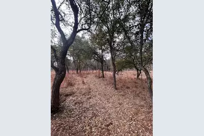 13203 Private Road 3642, Lampasas, TX 76550 - Photo 4