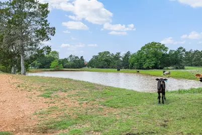 1371 Private Road 2051, Giddings, TX 78942 - Photo 18