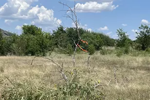 Lot 8 Evangeline Ln, Hutto, TX 78634 - Photo 1