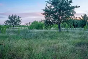 Lot 185 Three Creeks Dr, Bertram, TX 78605 - Photo 8