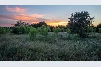 Lot 185 Three Creeks Drive, Bertram, TX 78605 - Photo 1