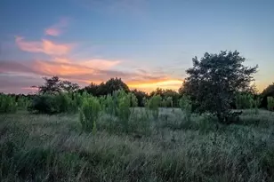 Lot 185 Three Creeks Dr, Bertram, TX 78605 - Photo 1