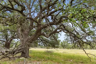 3049 Reservation Road Road, Harper, TX 78631 - Photo 22
