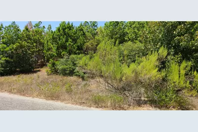 Tbd Tall Forest Drive, Bastrop, TX 78602 - Photo 2