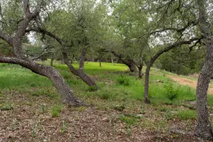 112 Twin Creek Cir, Dripping Springs, TX 78620 - Photo 18
