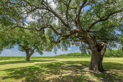 7092 Fm 621, Martindale, TX 78655 - Photo 22