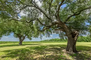 7092 FM 621, Martindale, TX 78655 - Photo 22