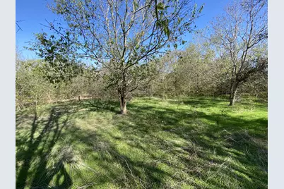 7603 Timber Hills Drive, Del Valle, TX 78617 - Photo 2
