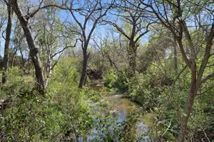 11900 Fm 1660, Hutto, TX 78634 - Photo 34