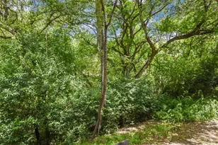 3839 Dry Creek Dr, Austin, TX 78731 - Photo 20