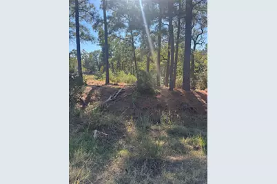 Lot 97 Kaelepulu Drive, Bastrop, TX 78602 - Photo 1