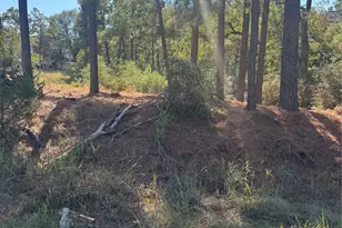 Lot 97 Kaelepulu Dr, Bastrop, TX 78602 - Photo 1