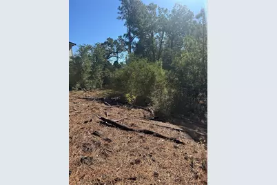 Lot 97 Kaelepulu Drive, Bastrop, TX 78602 - Photo 6