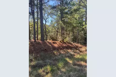 Lot 97 Kaelepulu Drive, Bastrop, TX 78602 - Photo 2