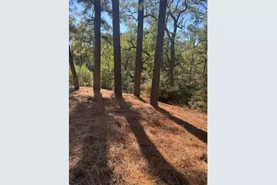 Lot 97 Kaelepulu Drive, Bastrop, TX 78602 - Photo 4