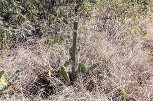 K11096 Chisolm Trail, Horseshoe Bay, TX 78657 - Photo 10