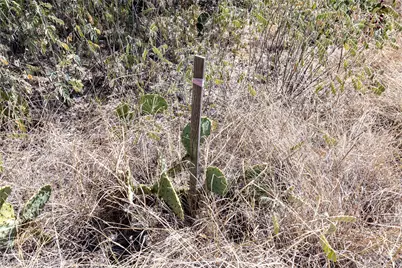 K11096 Chisolm Trail, Horseshoe Bay, TX 78657 - Photo 10