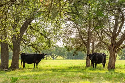 2055 County Road 284, Liberty Hill, TX 78642 - Photo 38