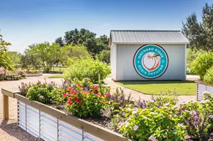 157 Fire Wheel Pass, Liberty Hill, TX 78642 - Photo 22