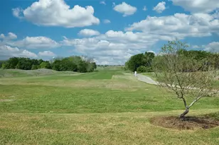 13720 Shadowlawn Trace, Manor, TX 78653 - Photo 38