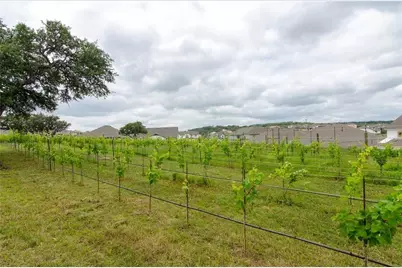 7112 Poulain Drive, Austin, TX 78738 - Photo 26