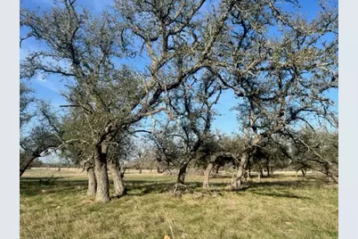 Lot 72 Fallow Drive, Harper, TX 78631 - Photo 6