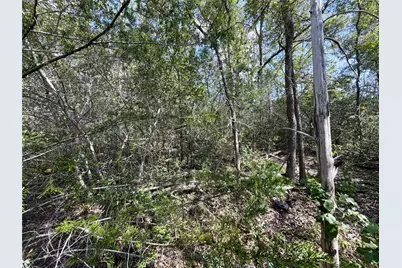 103 Nuupia Court, Bastrop, TX 78602 - Photo 6