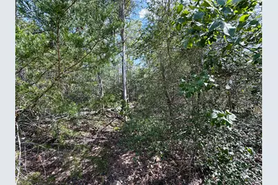 103 Nuupia Court, Bastrop, TX 78602 - Photo 4