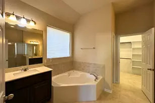 3117 Hidalgo Loop, Round Rock, TX 78665 - Photo 20