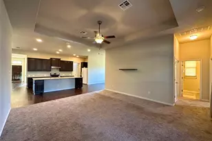 3117 Hidalgo Loop, Round Rock, TX 78665 - Photo 14