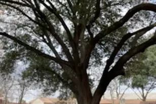 7402 Southgate Ln, Austin, TX 78744 - Photo 16