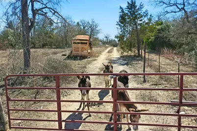 1310 Perry Lane, Thorndale, TX 76577 - Photo 8