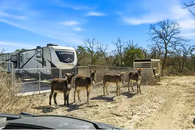 1310 Perry Lane, Thorndale, TX 76577 - Photo 12