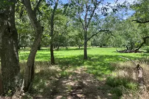 344 & 343 Bateman Rd, Red Rock, TX 78662 - Photo 1