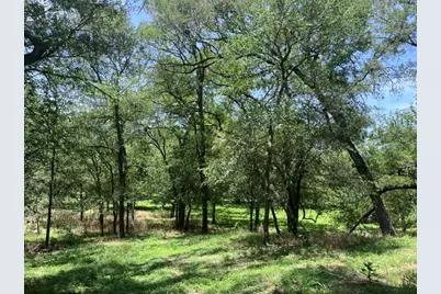 344 & 343 Bateman Road, Red Rock, TX 78662 - Photo 4