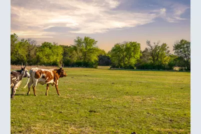 6234 S Fm 1174, Bertram, TX 78605 - Photo 40
