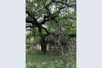 75 E Valley Springs Road, Wimberley, TX 78676 - Photo 2