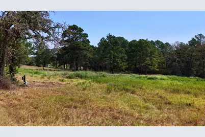 218 Little Ranch Road, Red Rock, TX 78662 - Photo 26