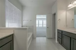 313 Sonbria Pass, Liberty Hill, TX 78642 - Photo 20