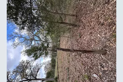 547 S. Old Potato Drive, Paige, TX 78602 - Photo 6