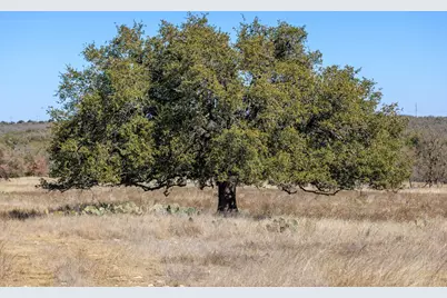 2020 Wendel Road, Harper, TX 78631 - Photo 10