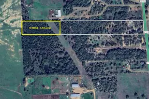 000 Fm 2104, Smithville, TX 78957 - Photo 1