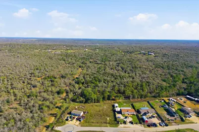 299 Wright Drive, Cedar Creek, TX 78612 - Photo 4